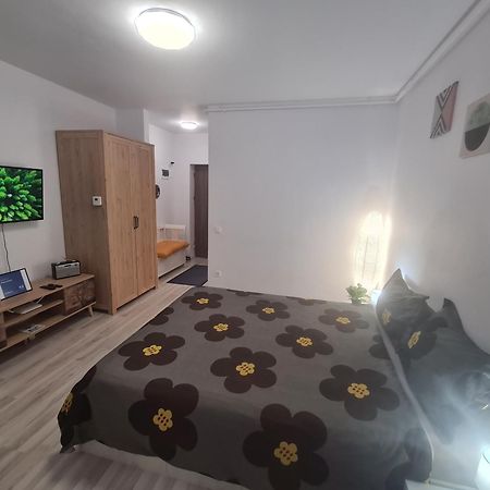 בוקרשט Siriului Studio מראה חיצוני תמונה