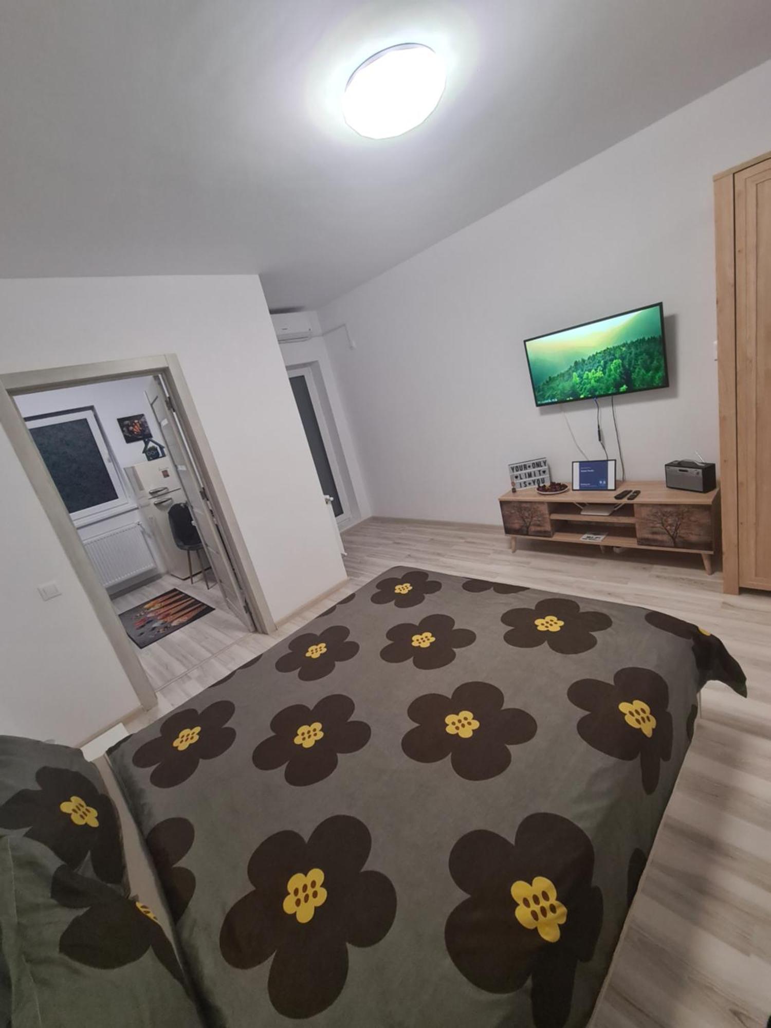 בוקרשט Siriului Studio מראה חיצוני תמונה